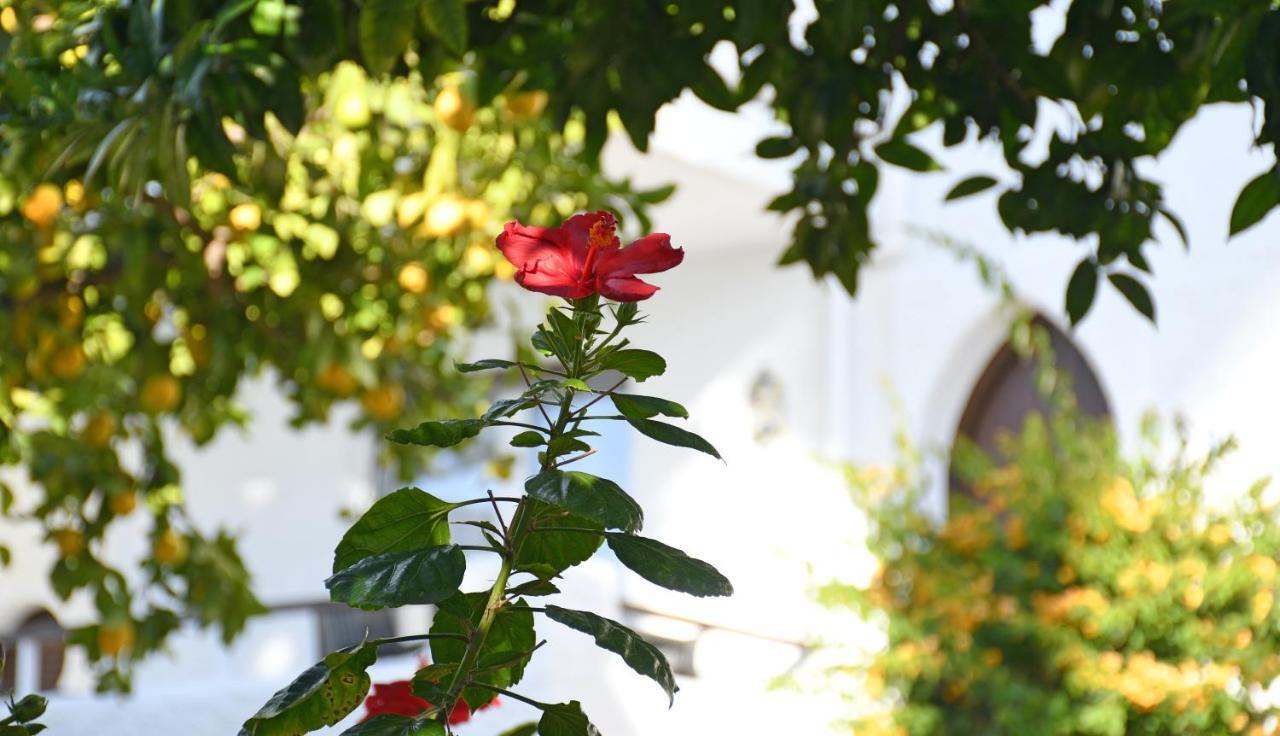 Yellow Jasper - Gemstone Getaway Marbella Exterior photo